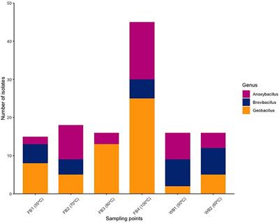 Polyphasic Analysis Reveals Potential Petroleum Hydrocarbon Degradation and Biosurfactant Production by Rare Biosphere Thermophilic Bacteria From Deception Island, an Active Antarctic Volcano